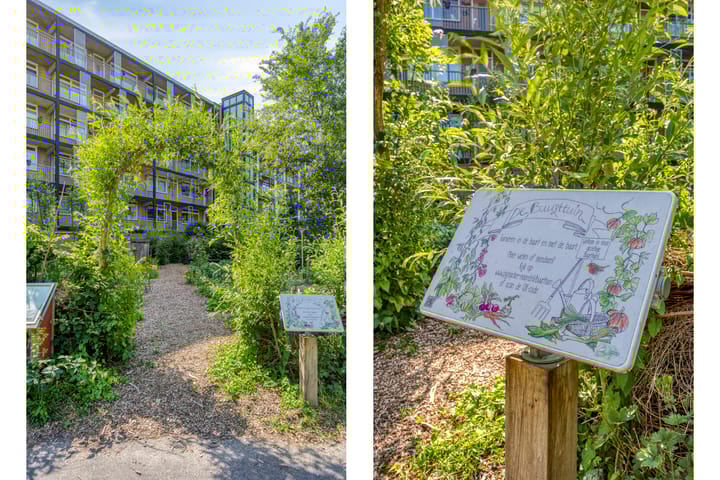 Foto 40 van Cort van der Lindenlaan 5