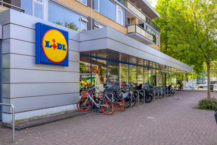 Foto 41 van Cort van der Lindenlaan 5