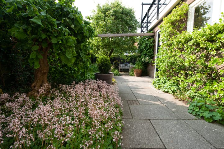 Foto 45 van Kwartelstraat 48