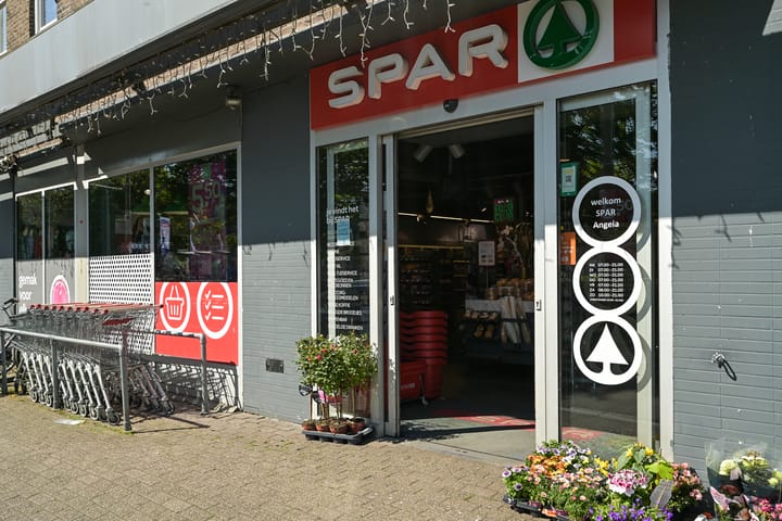 Foto 30 van Loudonstraat 61