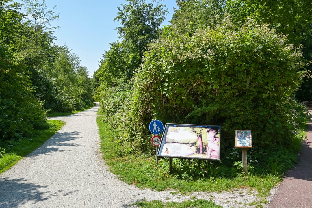 Foto 31 van Loudonstraat 61