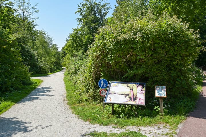 Foto 31 van Loudonstraat 61