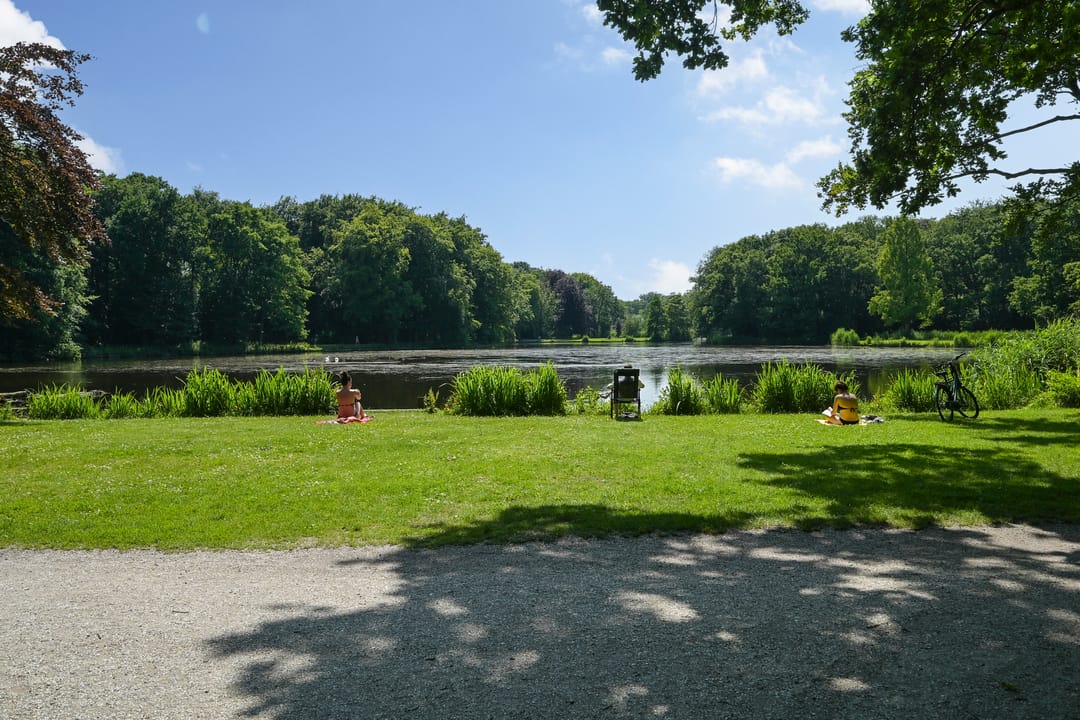 Foto 32 van Loudonstraat 61