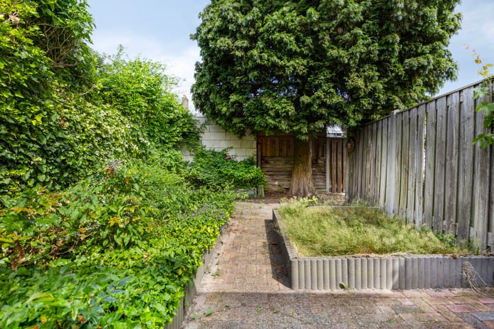 Foto 34 van Maaierstraat 12