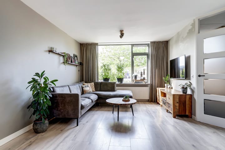 Foto 9 van Frankenthaler 16