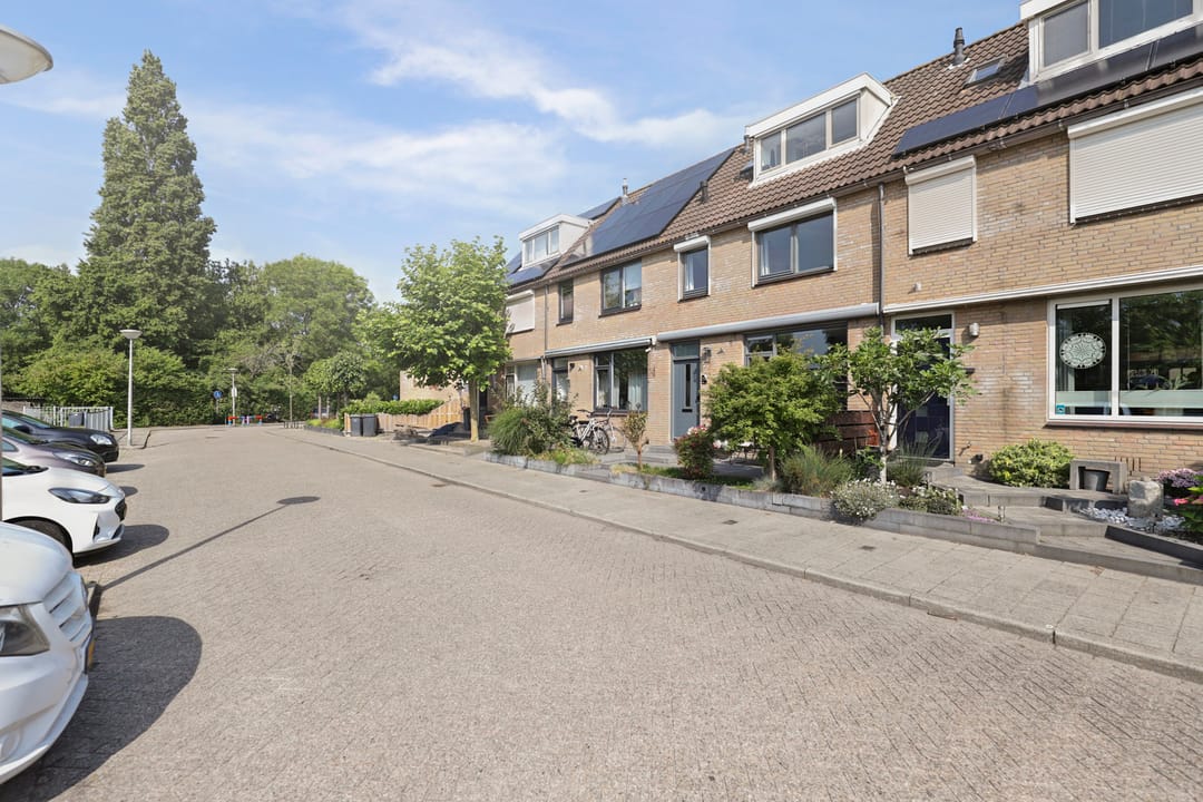 Foto 26 van Frankenthaler 16