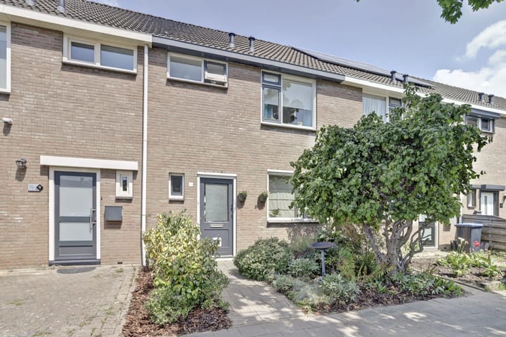 undefined main image