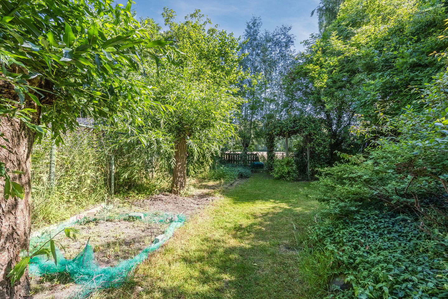 Photo 59 of Berkstraat 38