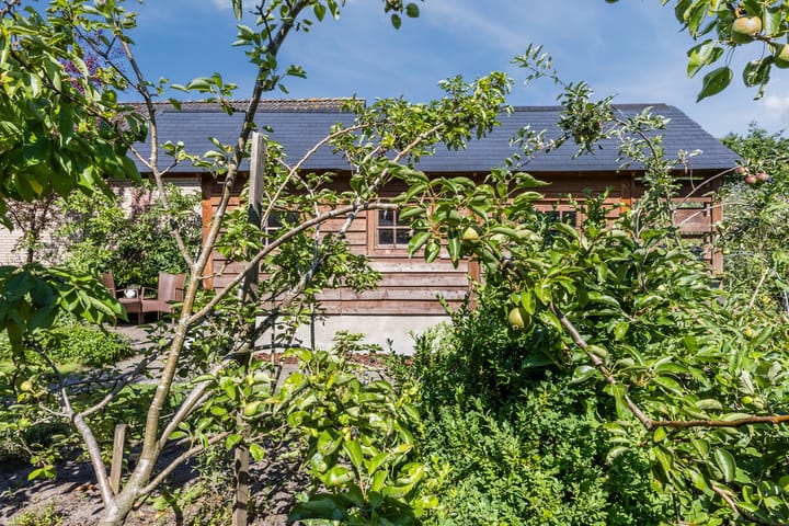 Foto 60 van Berkstraat 38