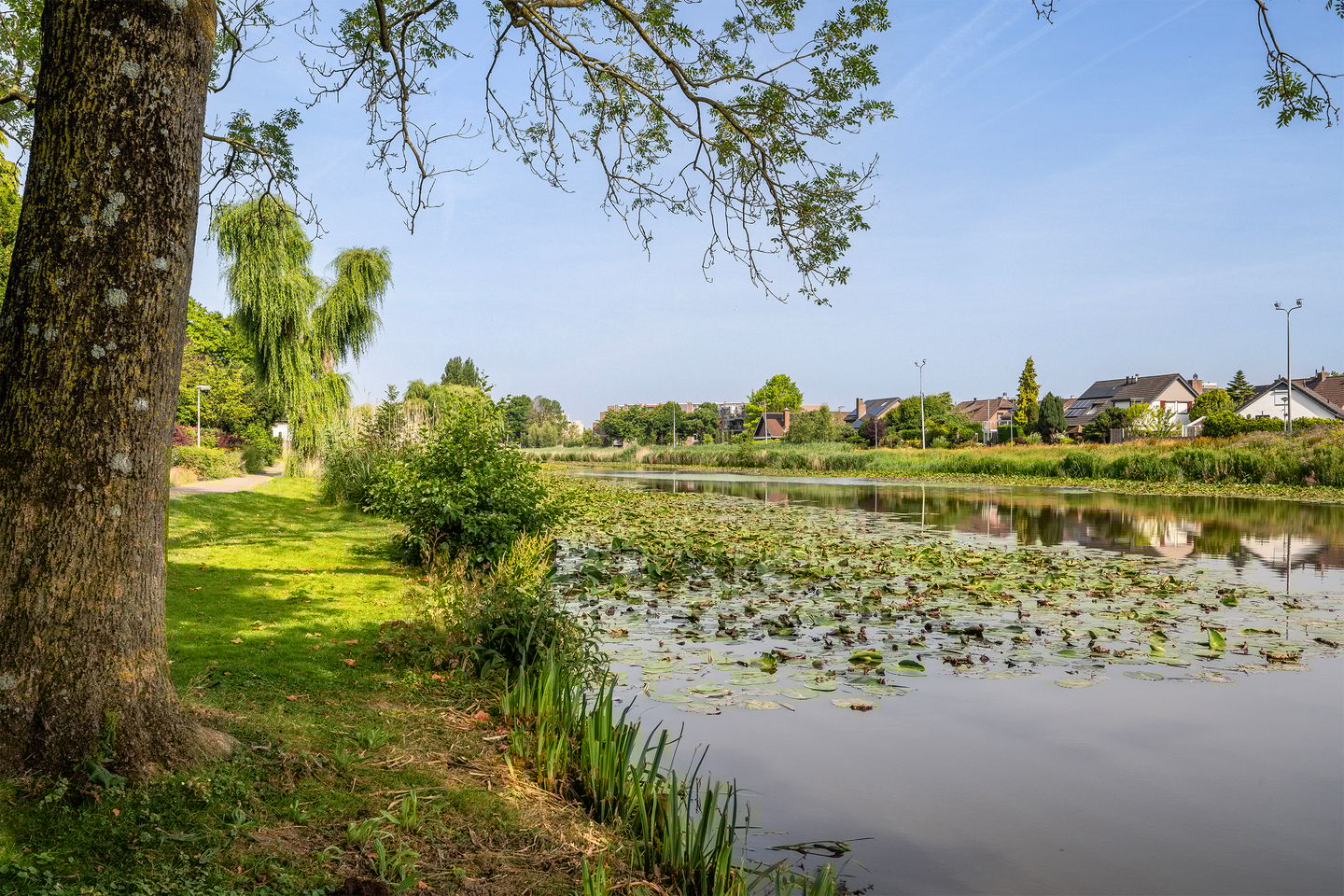 Foto 44 van Laan van Nederhoven 12