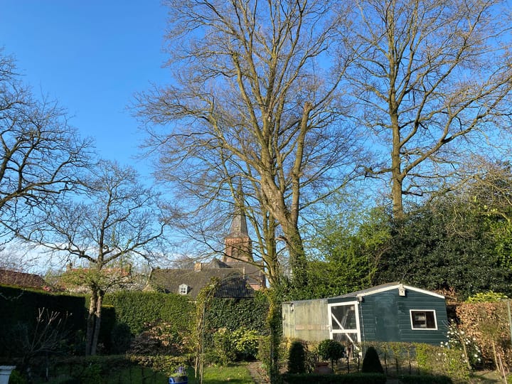 Photo 31 of Vogelkers 11