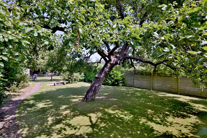 Foto 59 van Achterhoven 20