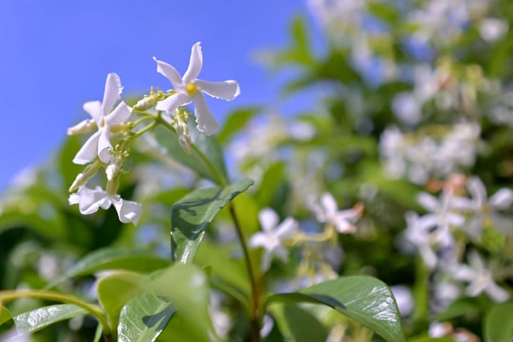 Foto 70 van Achterhoven 20