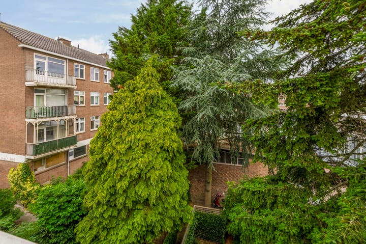 Photo 25 of Meidoornsingel 99-C