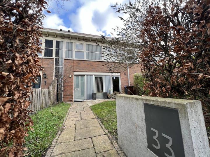 Foto 1 van Pijlstaartvlinder 33