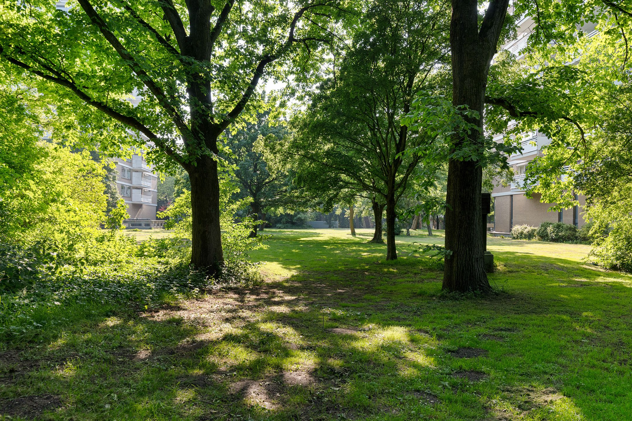 Foto 33 van Nachtwachtlaan 348