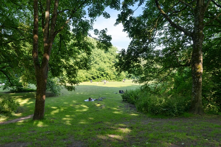 Foto 32 van Nachtwachtlaan 348