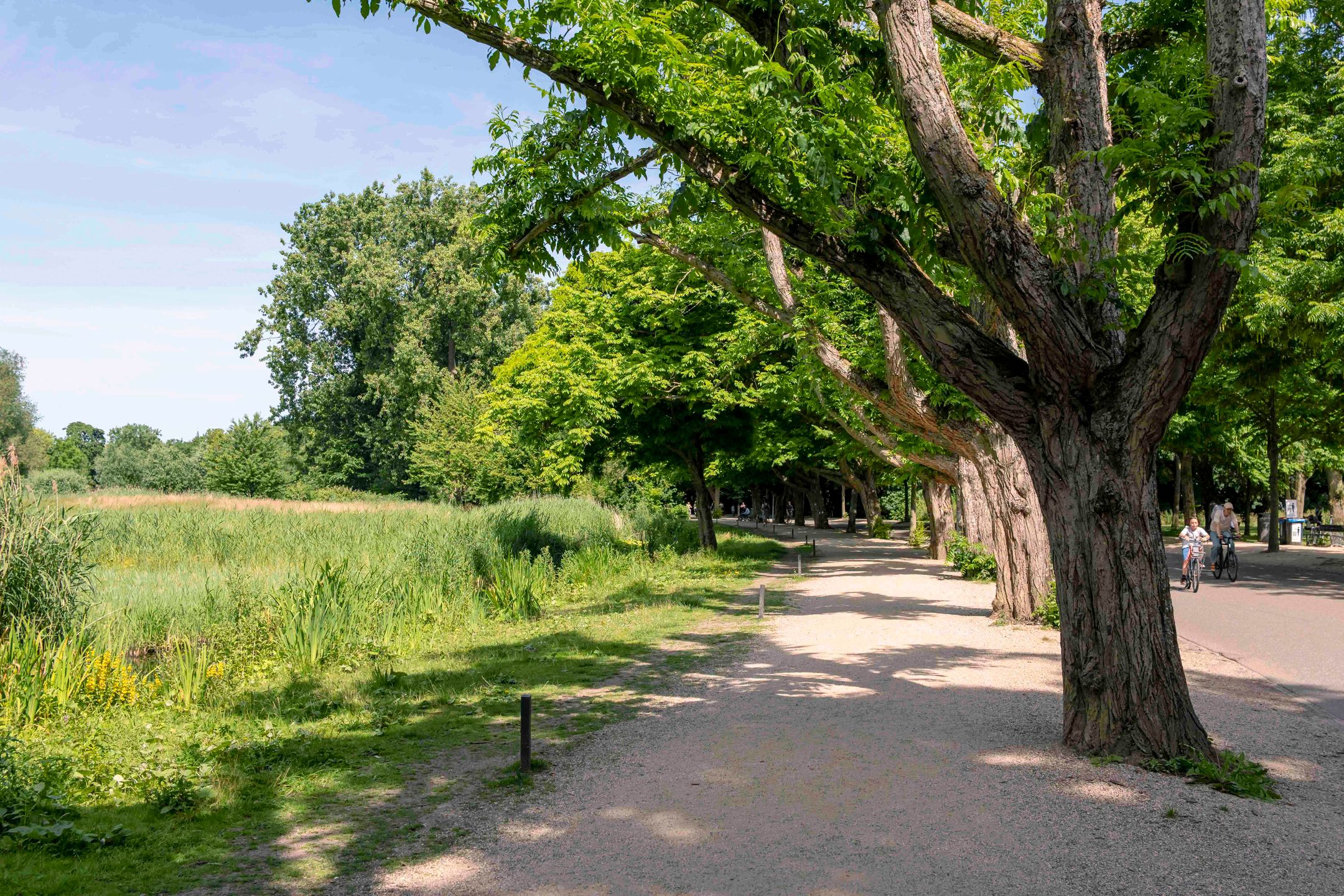 Foto 36 van Saxen-Weimarlaan 8