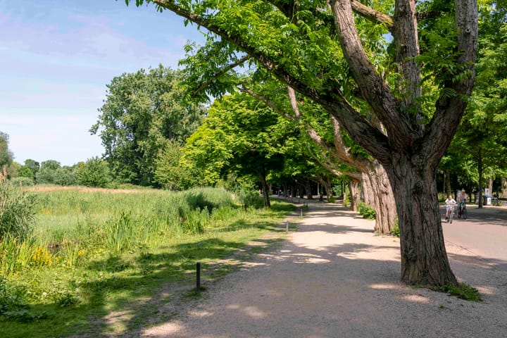 Foto 36 van Saxen-Weimarlaan 8