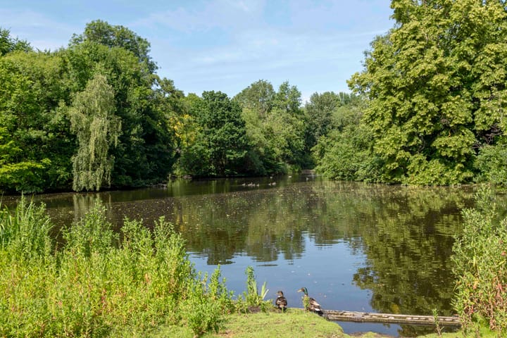 Foto 37 van Saxen-Weimarlaan 8