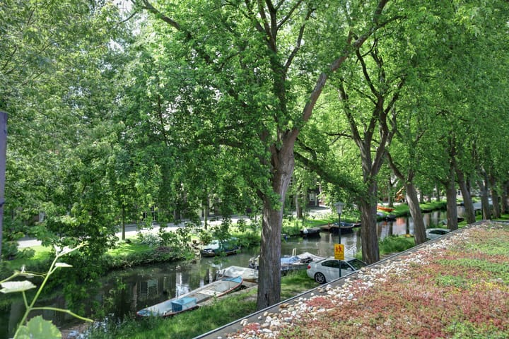 Foto 25 van Zuider Boerenvaart 36