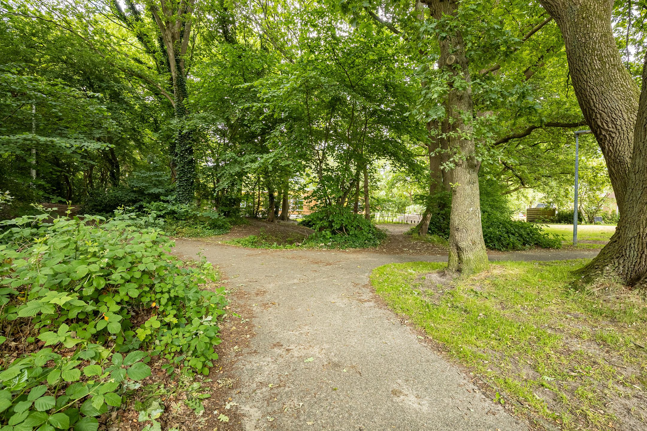 Foto 30 van Heesterlaan 12