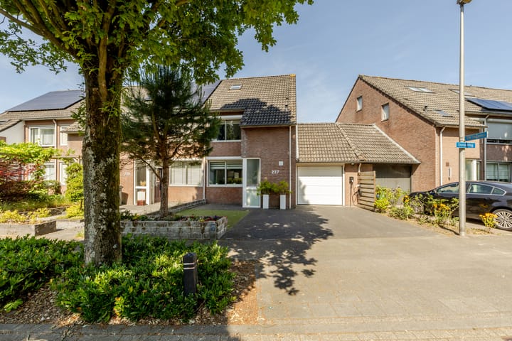 Foto 40 van Donauring 227