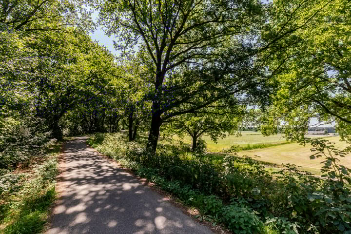 Foto 44 van Donauring 227