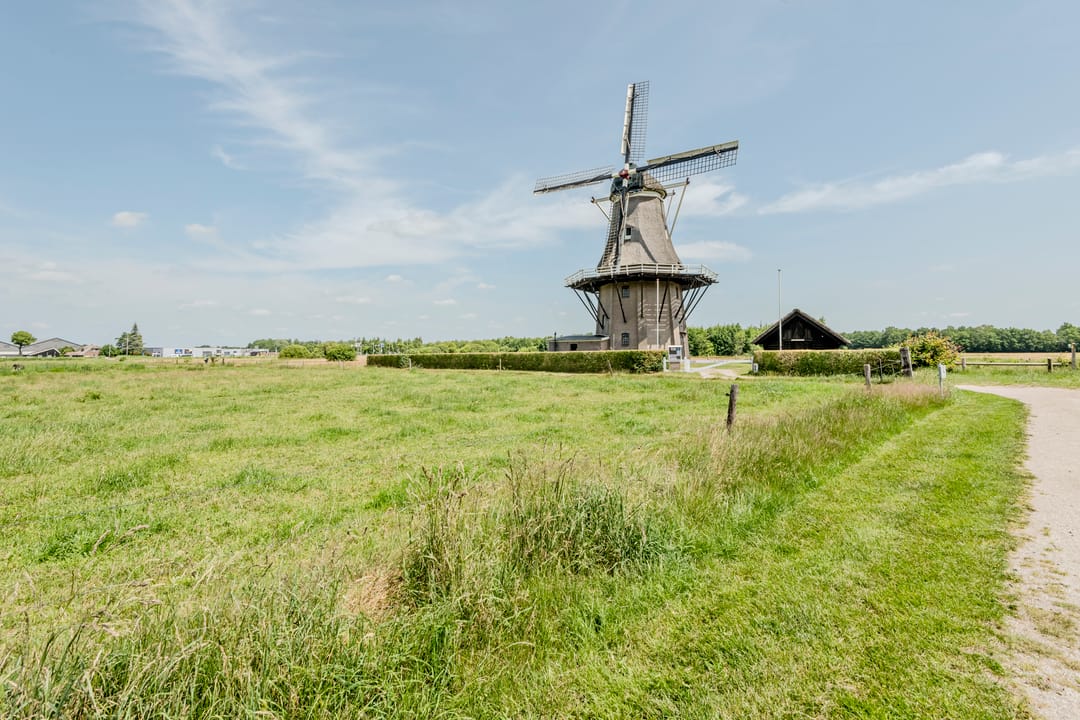 Foto 41 van Wolter ter Haarstraat 10