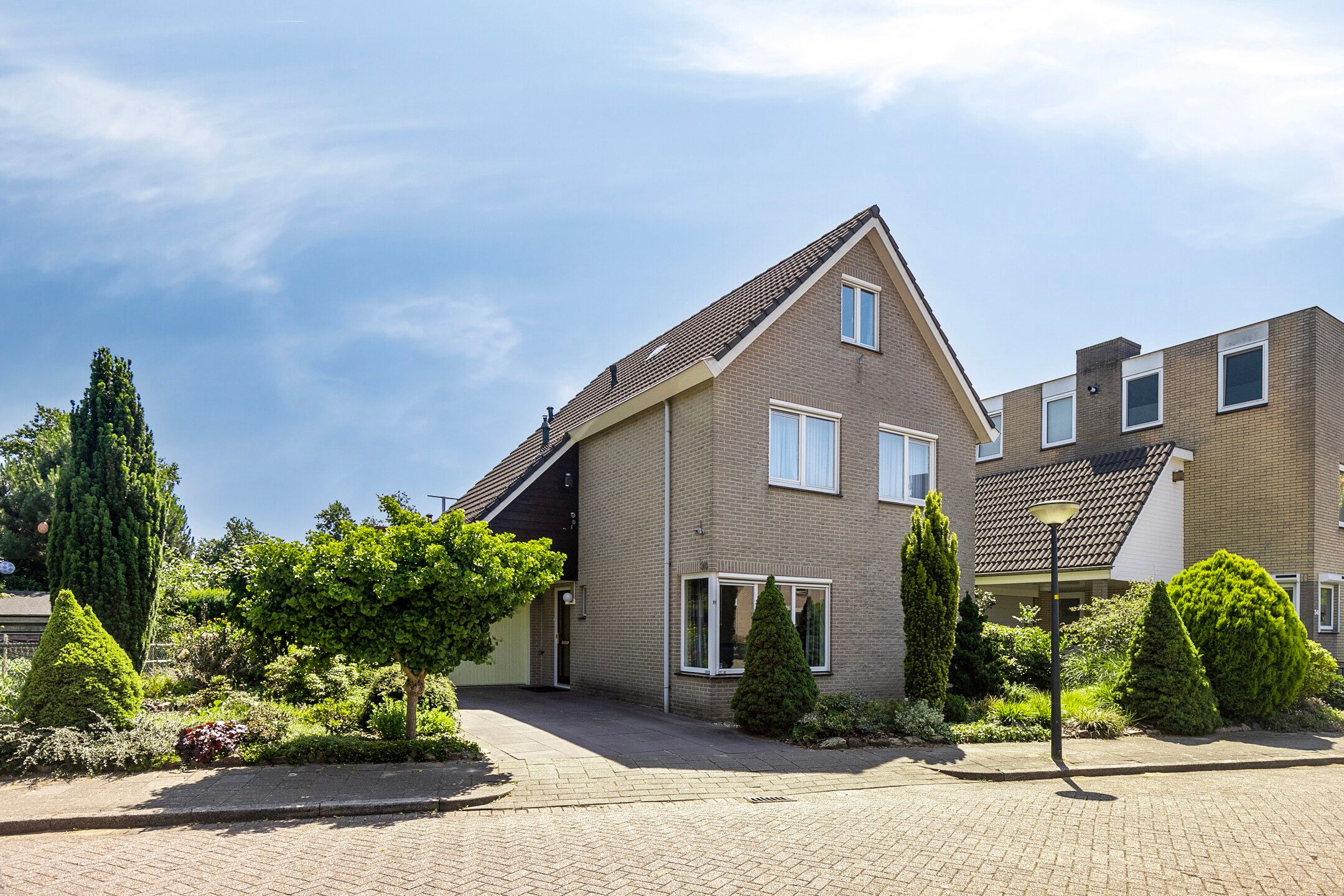 Foto 39 van Helmbloem 36