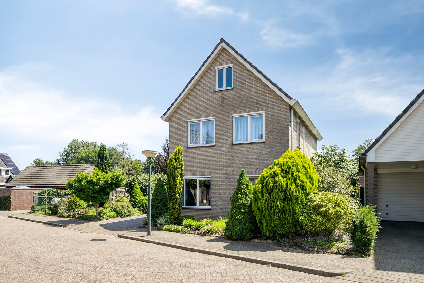 Foto 40 van Helmbloem 36