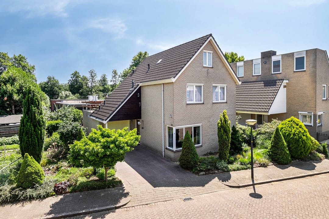 Foto 41 van Helmbloem 36