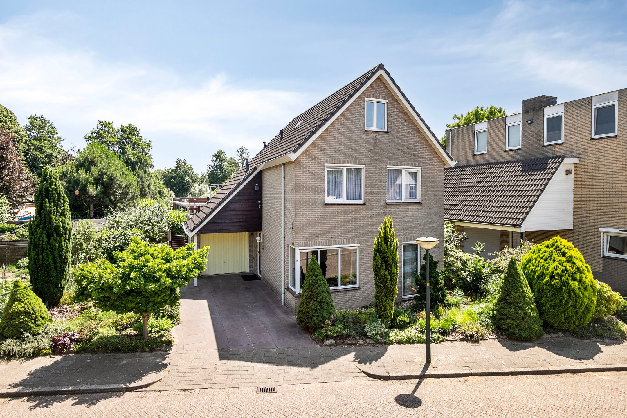 Foto 42 van Helmbloem 36