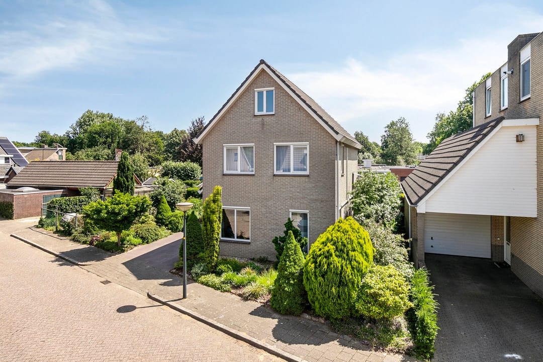 Foto 43 van Helmbloem 36