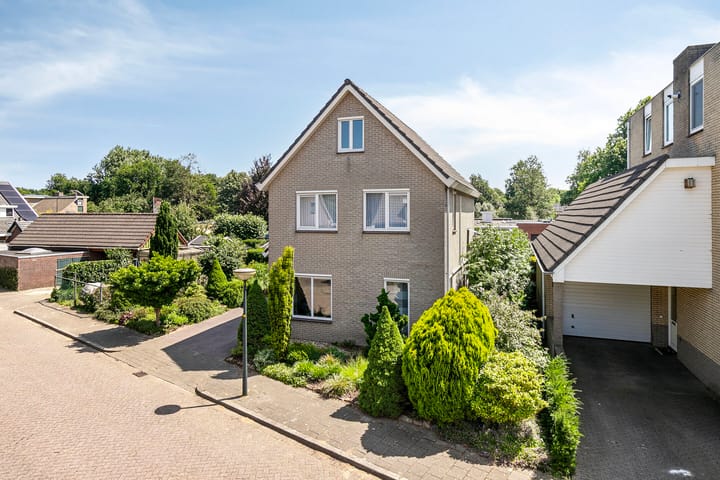 Foto 43 van Helmbloem 36