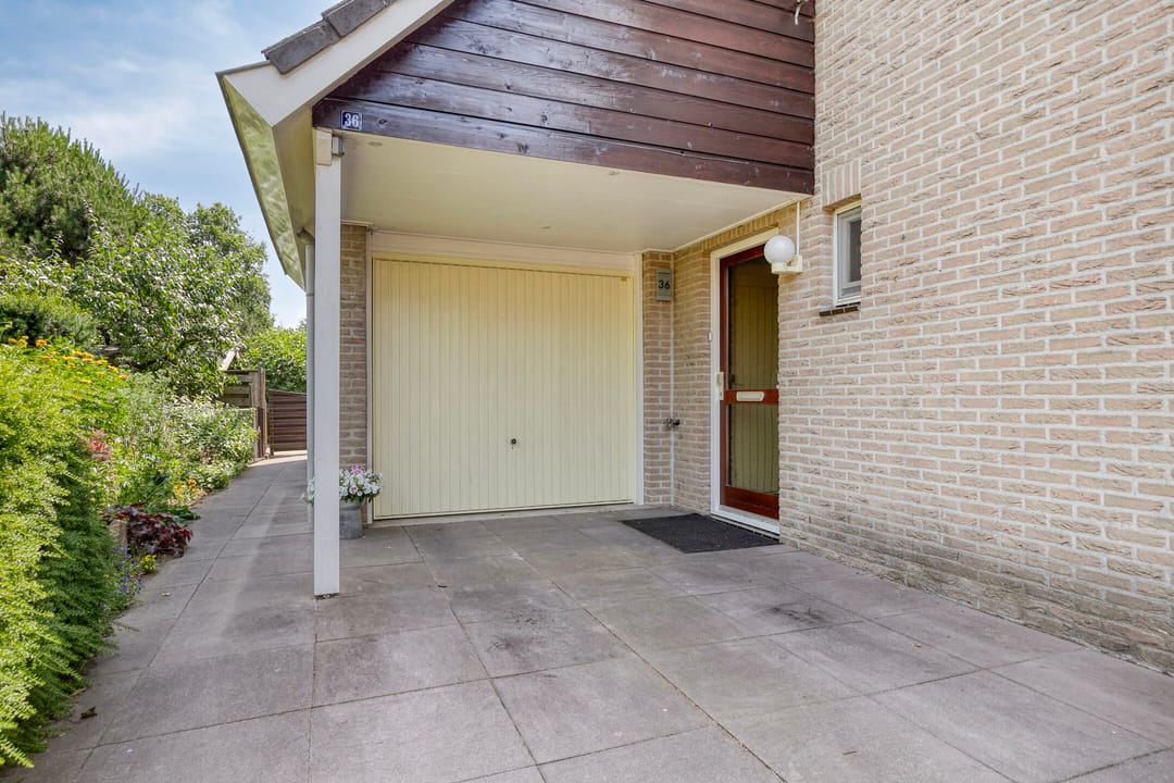 Foto 38 van Helmbloem 36