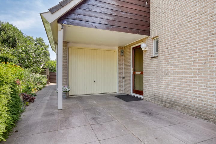 Foto 38 van Helmbloem 36