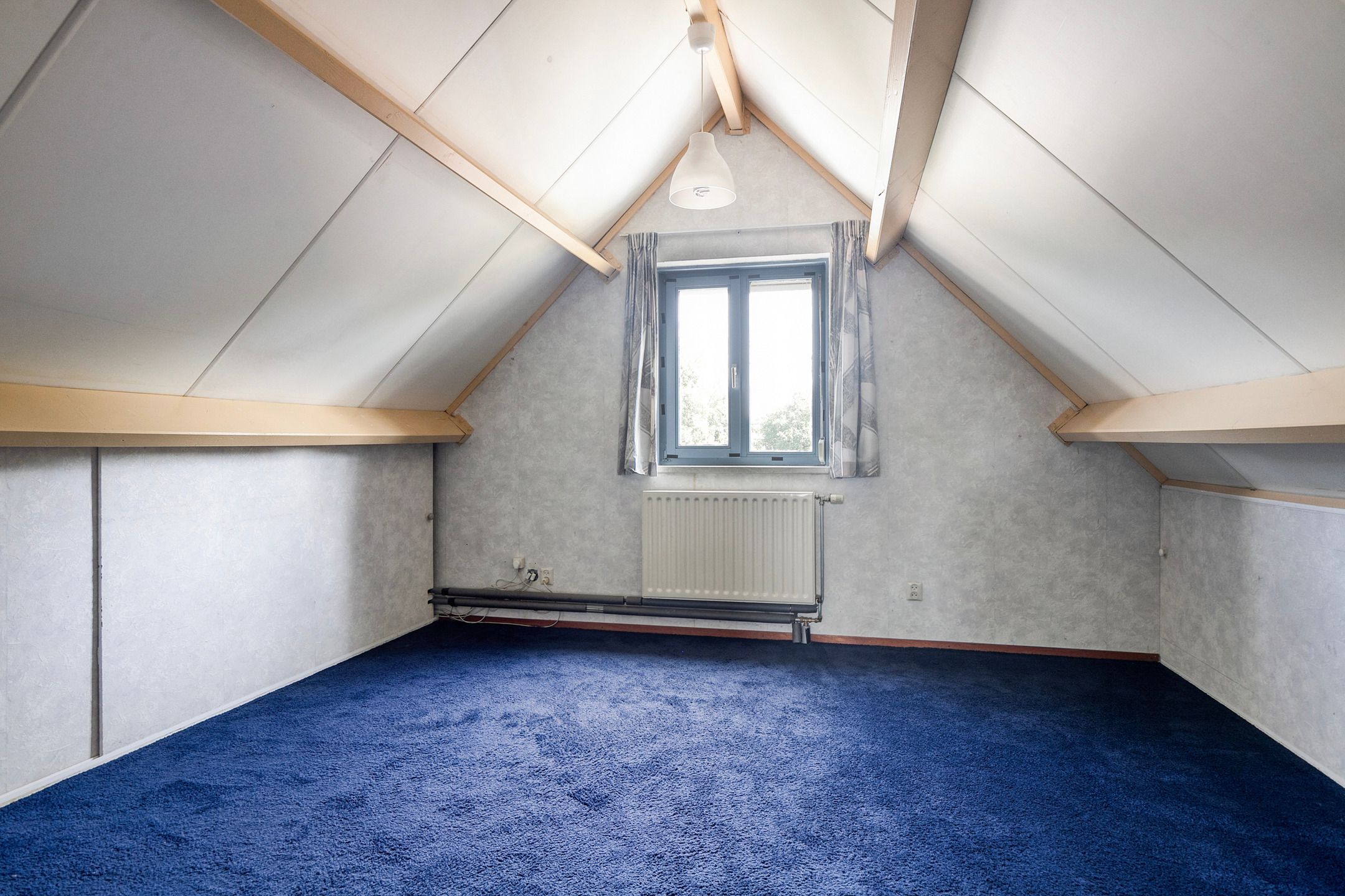 Foto 24 van Helmbloem 36