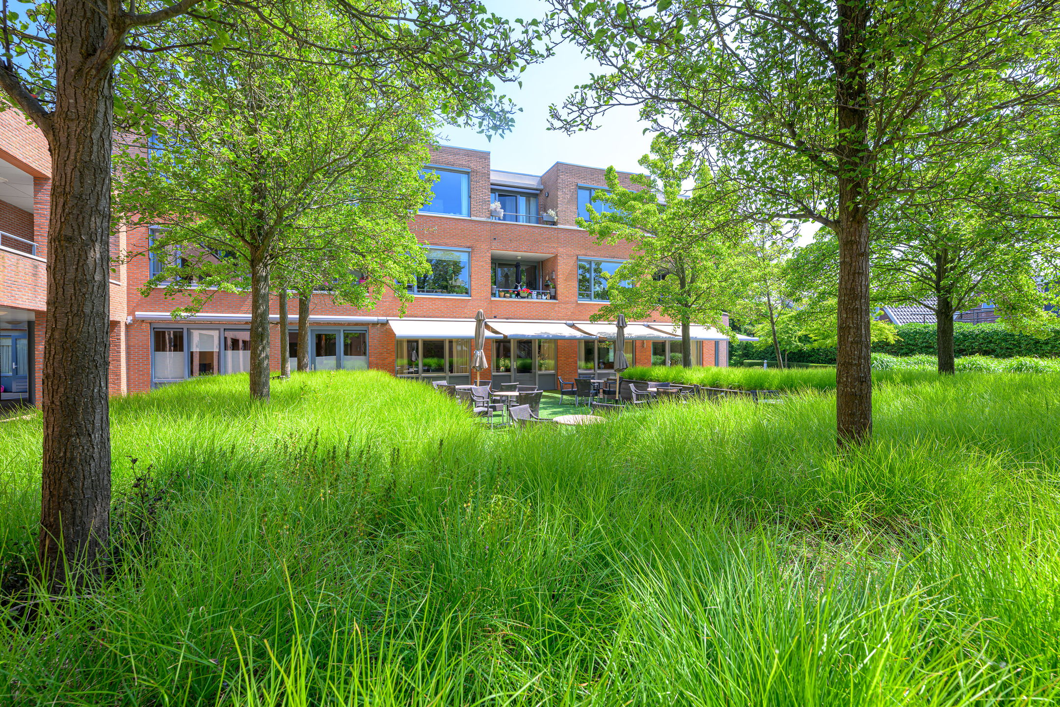 Foto 30 van Dorpen 11-D