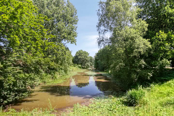 Foto 45 van Helmbloem 36