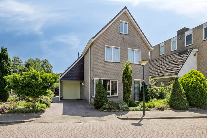 Foto 1 van Helmbloem 36