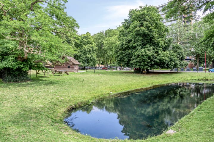 Photo 31 of Wenckebachplantsoen 36