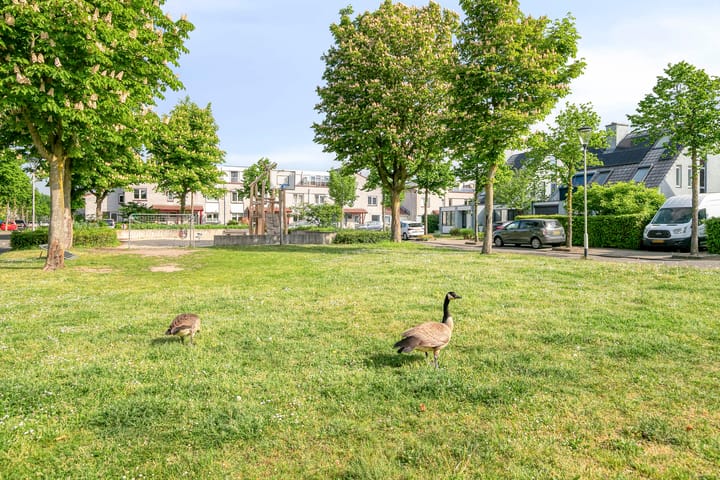 Foto 60 van Heksenwiellaan 115