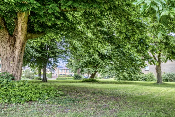 Photo 32 of Wenckebachplantsoen 36