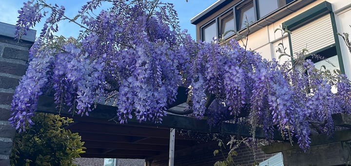 Foto 47 van Heksenwiellaan 115