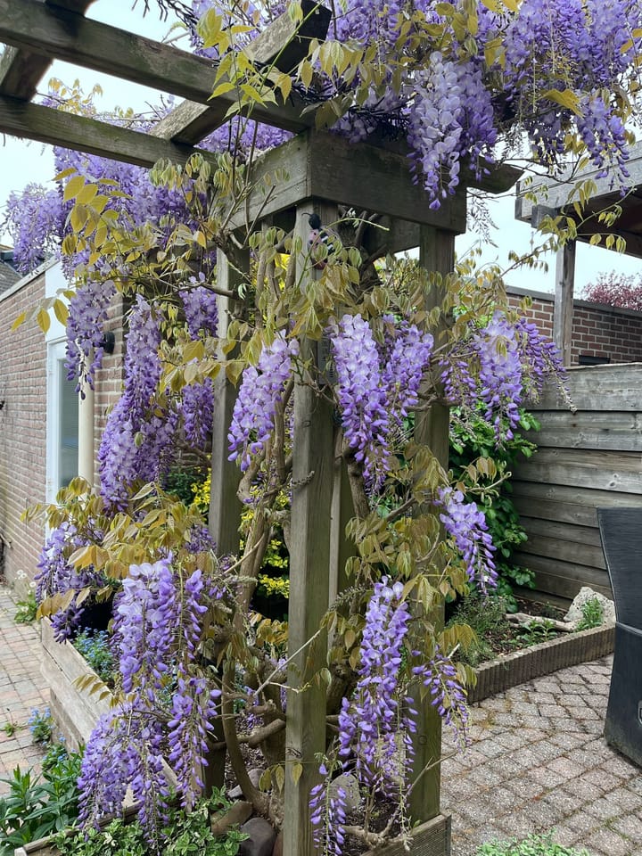 Foto 46 van Heksenwiellaan 115