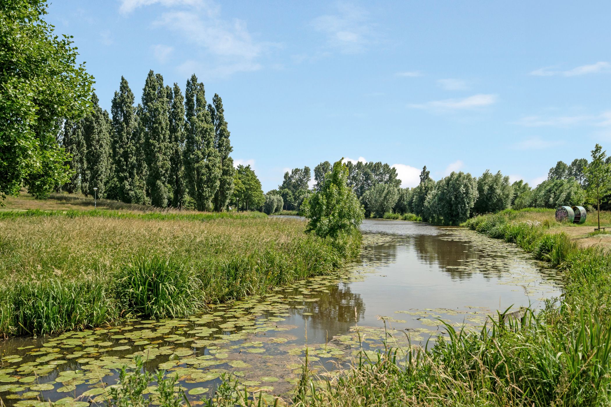 Foto 42 van Parklaan 44