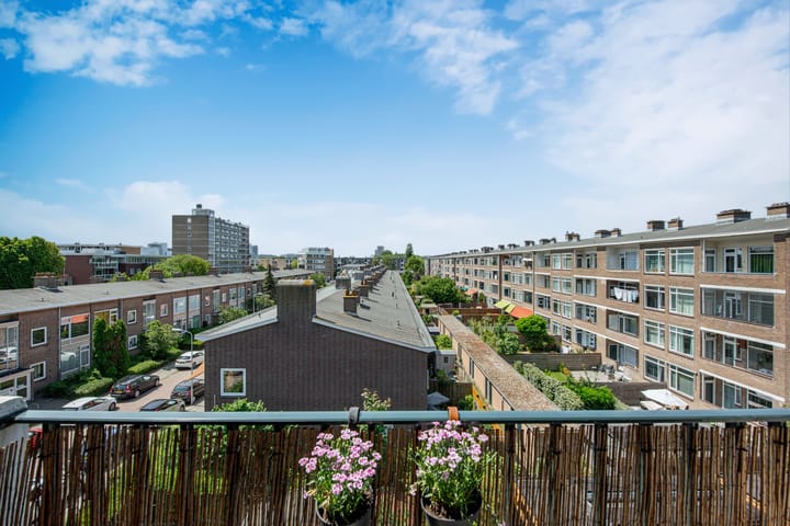 Foto 23 van Spinozalaan 97