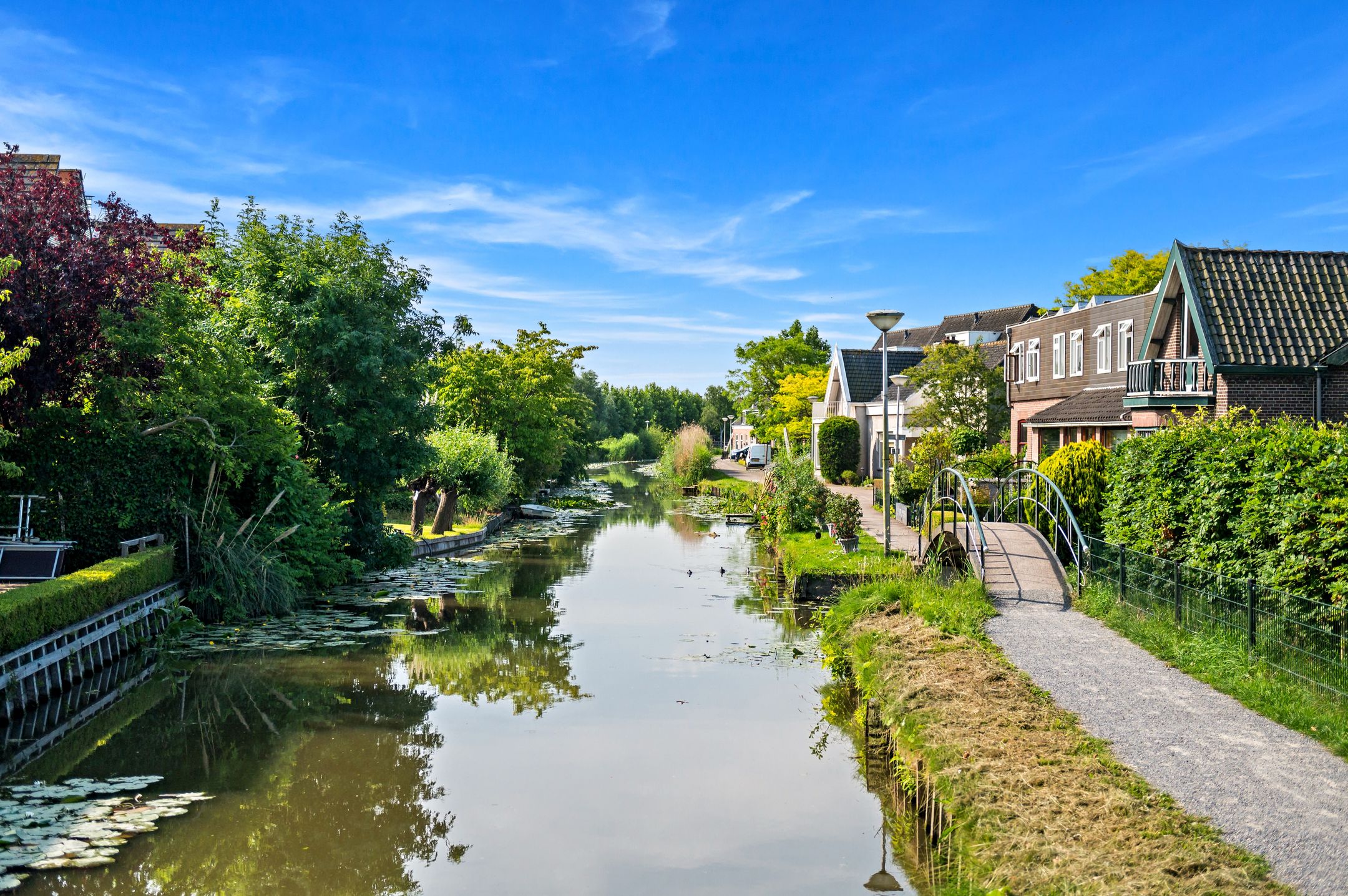 Foto 51 van Lookwatering 4