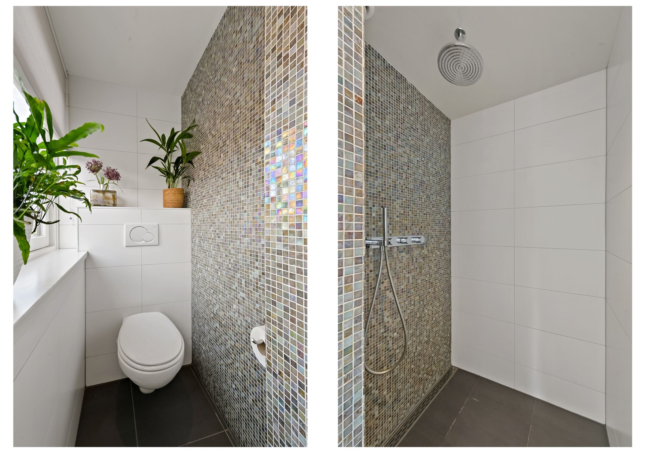 Foto 42 van Lookwatering 4